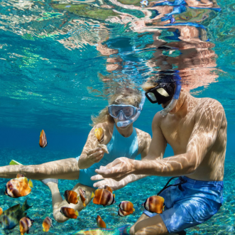 Go East Snorkel Tour