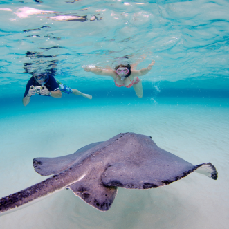 3 Stop Stingray City, Reef Snorkel & Starfish Point