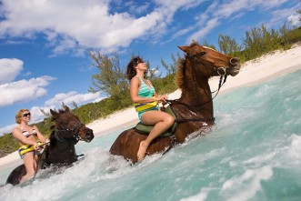 Grand Cayman Horseback Swim Ride