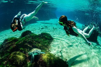 Turtle Centre Grand Cayman & Snorkel Excursion