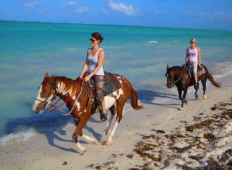 Grand Cayman Horseback Beach Ride